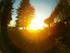 shelly beach sunrise walking down the path