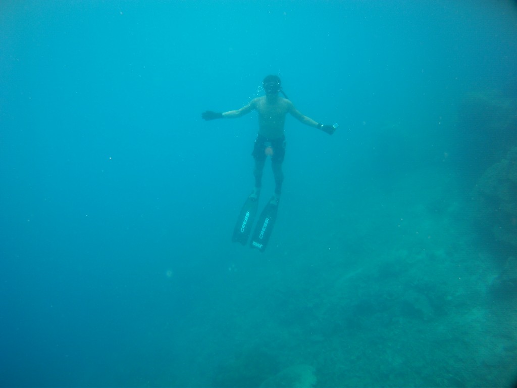 Free diving Pulau Seribu
